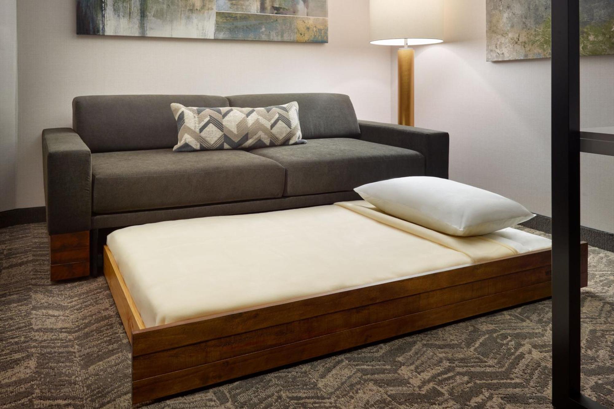 Springhill Suites By Marriott Arlington Tn Luaran gambar